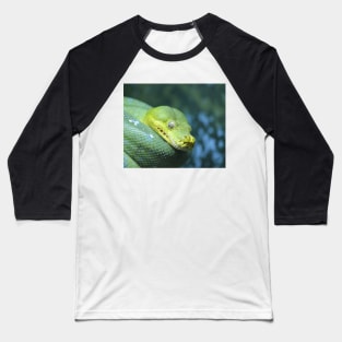 Green Tree Python Baseball T-Shirt